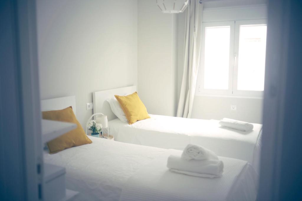 Pinsapo (Centro ciudad) - 4