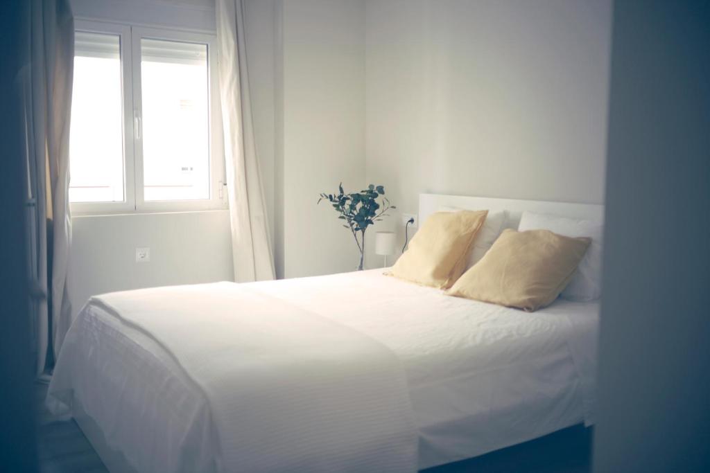 Pinsapo (Centro ciudad) - 1