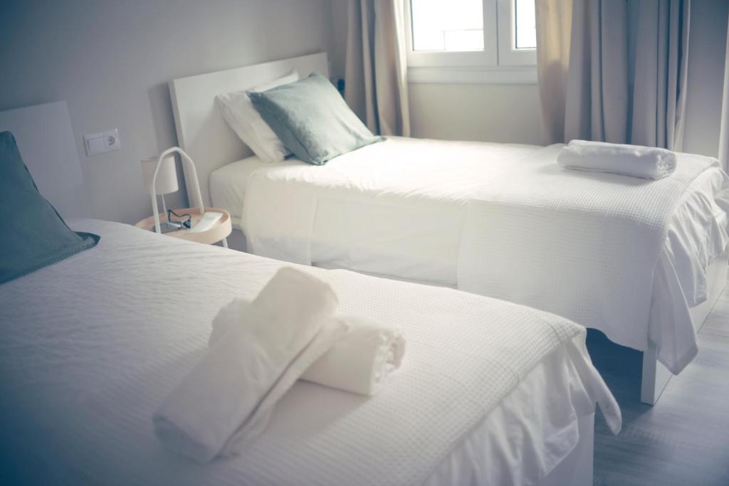 Pinsapo (Centro ciudad) - 5