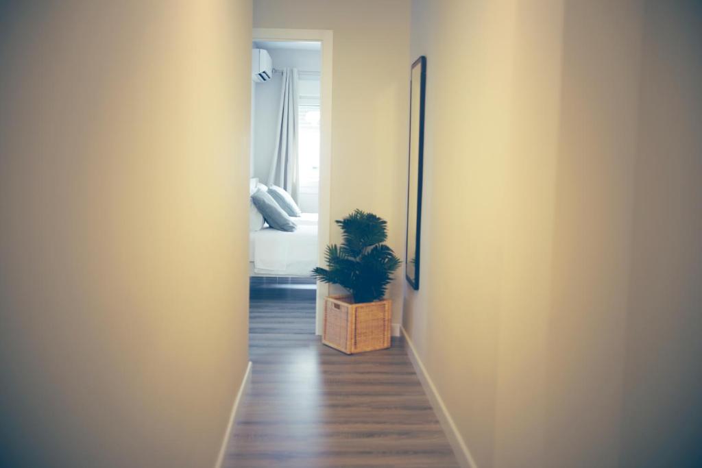 Pinsapo (Centro ciudad) - 9