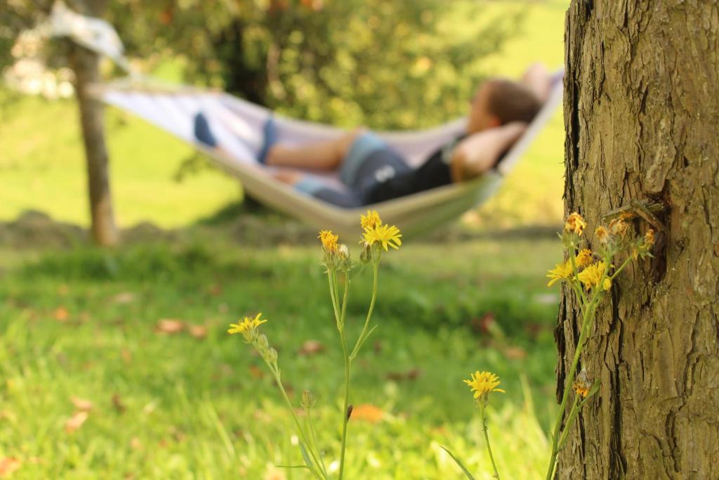 Urlaub am Zechnerhof vendégei