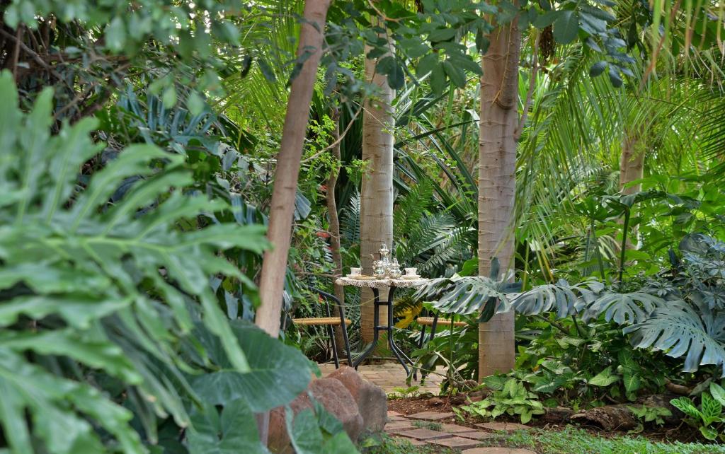 a birdbath in a garden with trees and plants at Kasane Self Catering in Kasane