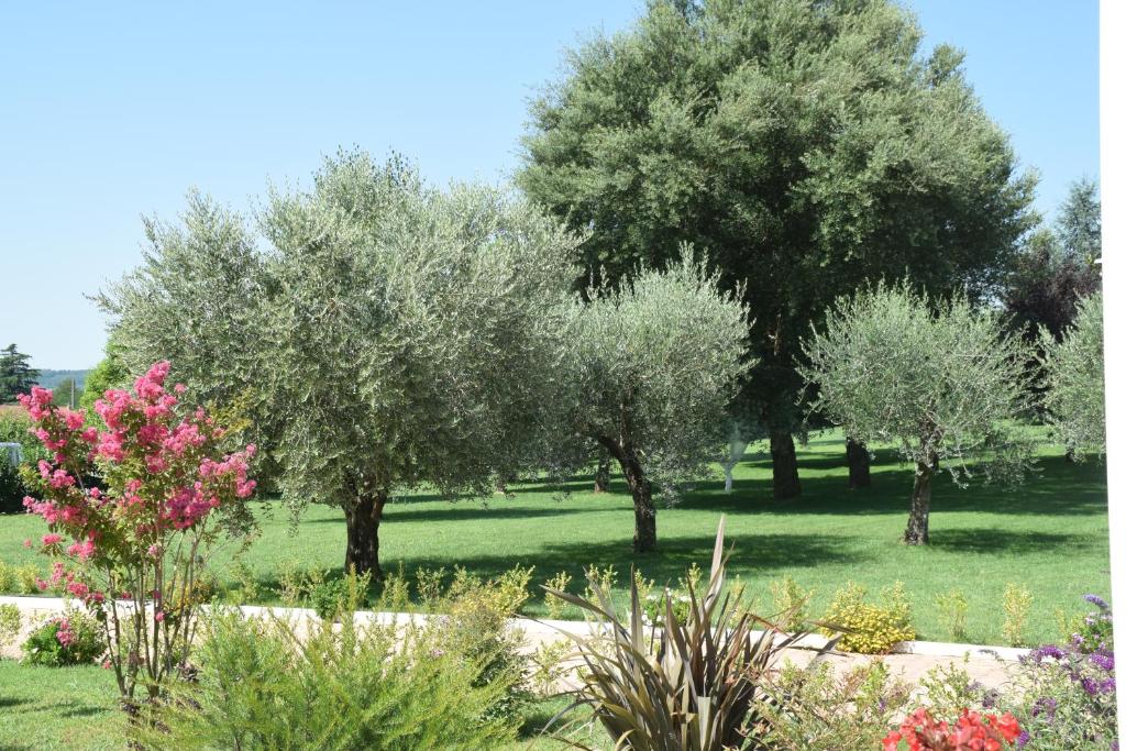 Zahrada ubytování Anima Antiqua Relais & Spa