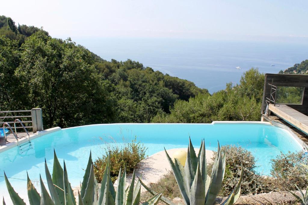 einen Pool in einem Garten mit Kakteen in der Unterkunft Spacious Dream Villa near Monaco in Roquebrune-Cap-Martin