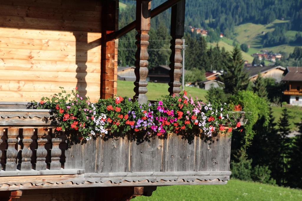 Zahrada ubytování Appartements Moahof Zuhaus