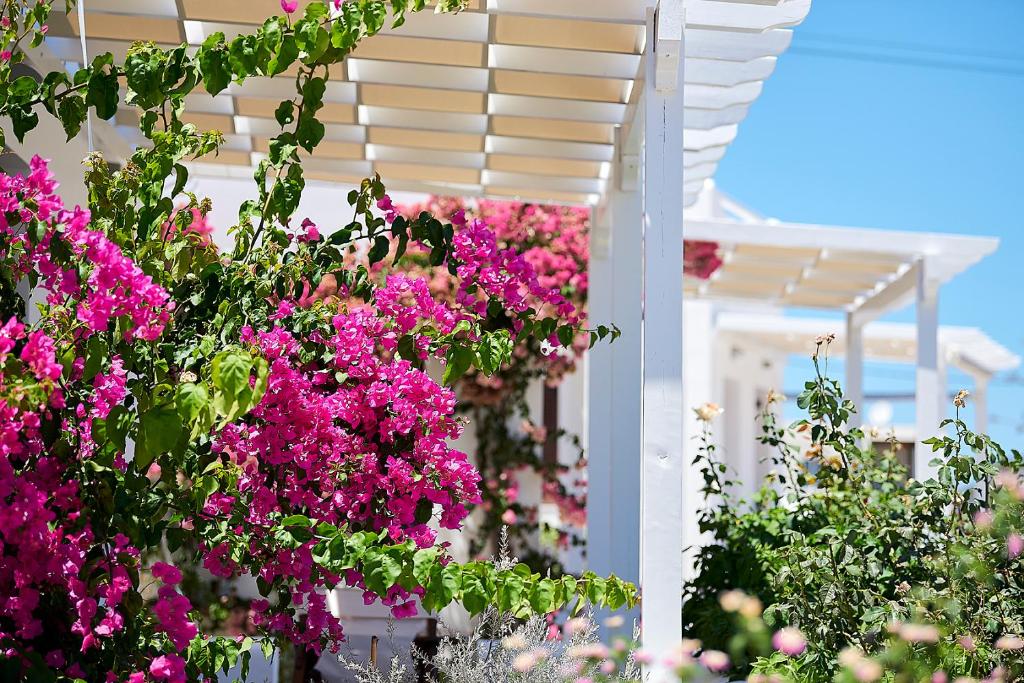 Zahrada ubytování Mirabeli Apartments & Suites