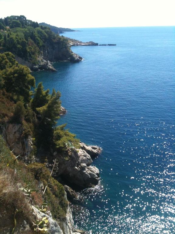 SerendipitY DubrOvniK CentrE-Free ParKinG