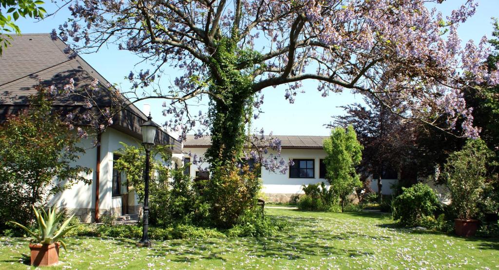 a house with a tree in the yard at Gästehaus Gabriel in Illmitz