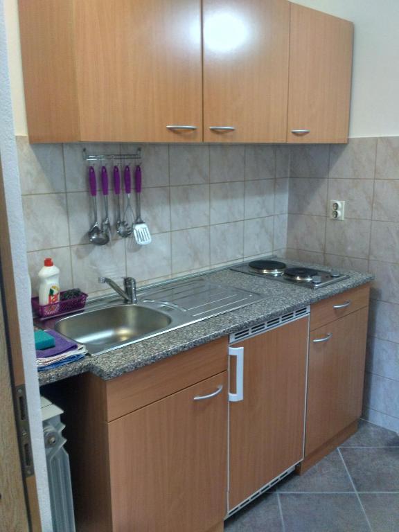 Kuchyňa alebo kuchynka v ubytovaní Apartmani Tonica