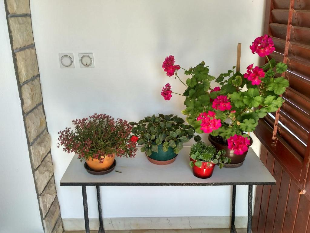 Fotografia z galérie ubytovania Apartmani Tonica v Sukošane