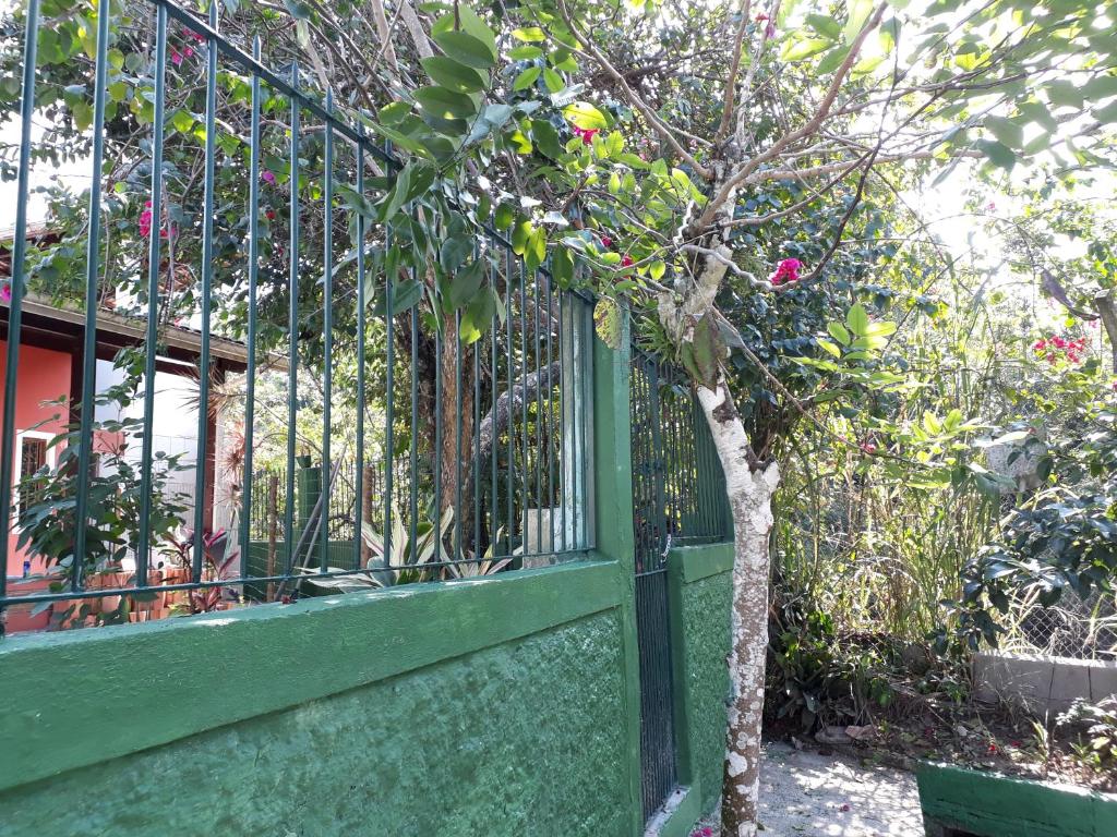  No Centro Com Vista Para O Rio