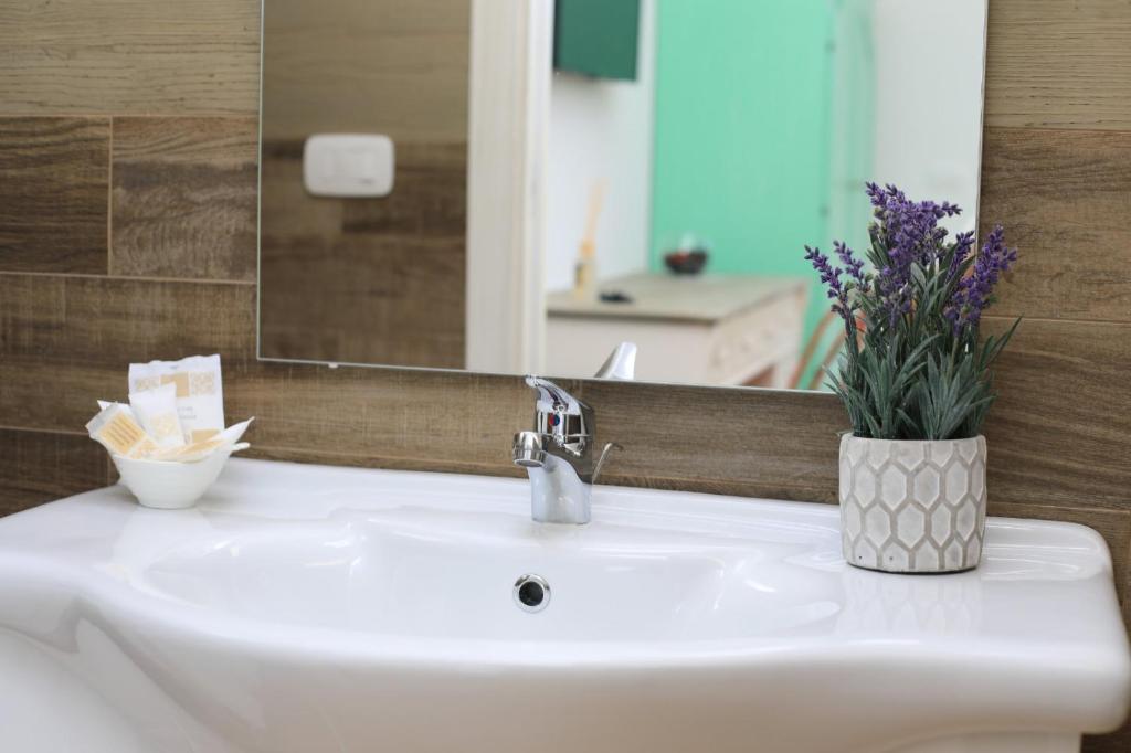 L'Ulivo e la Stella - 14