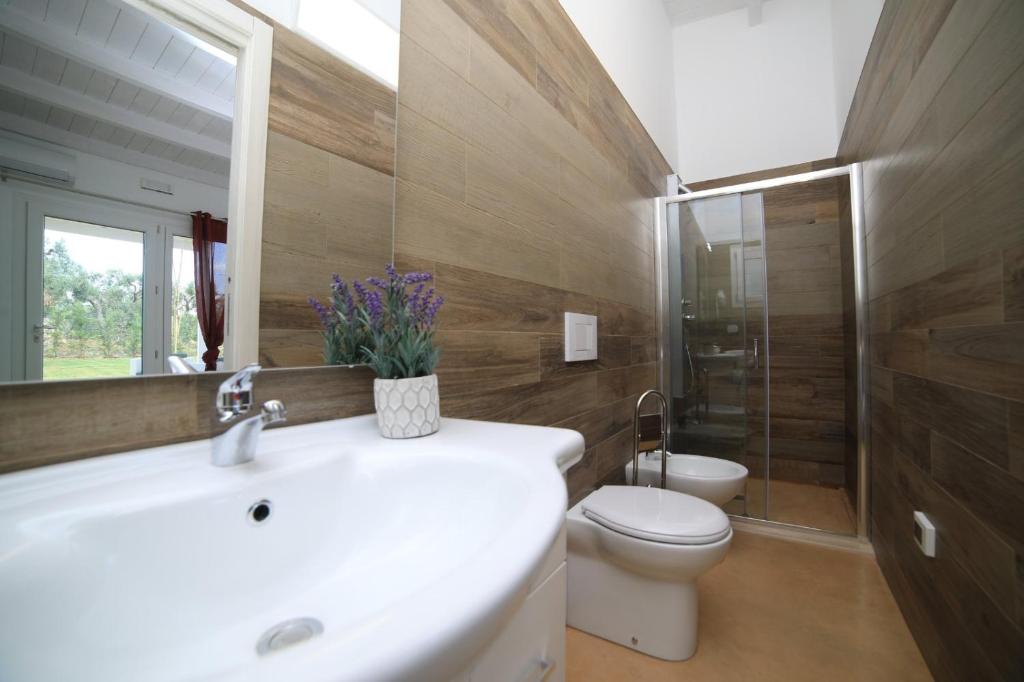 L'Ulivo e la Stella - 17