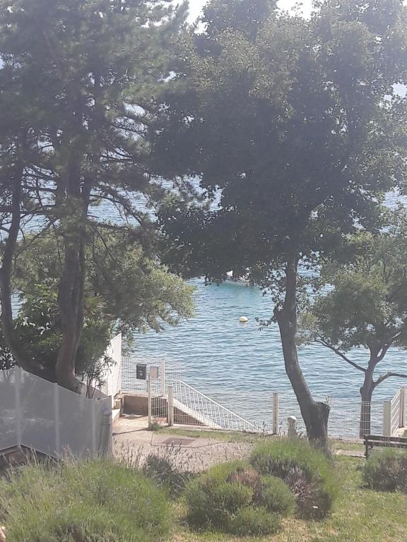Príroda v okolí apartmánu