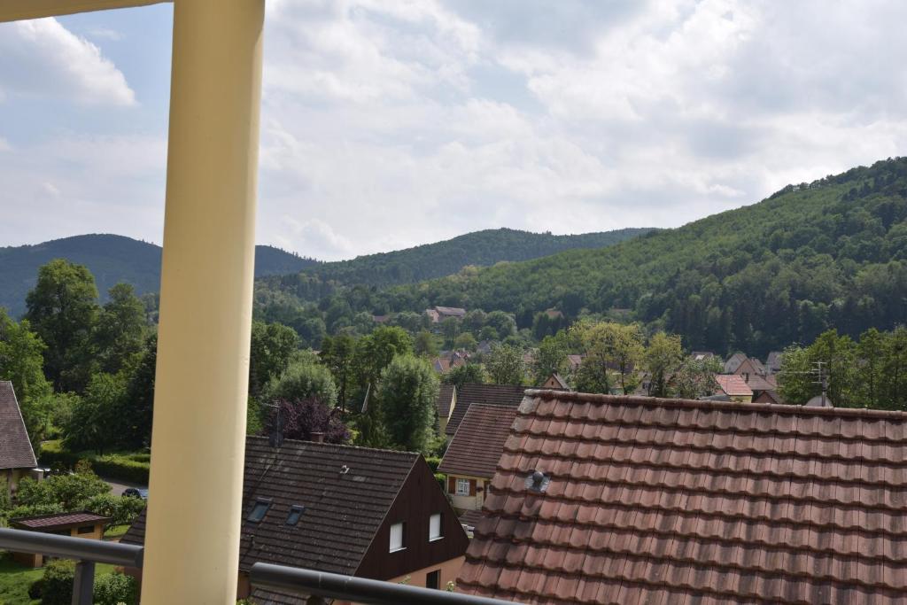 Le brin d'osier – photo 10