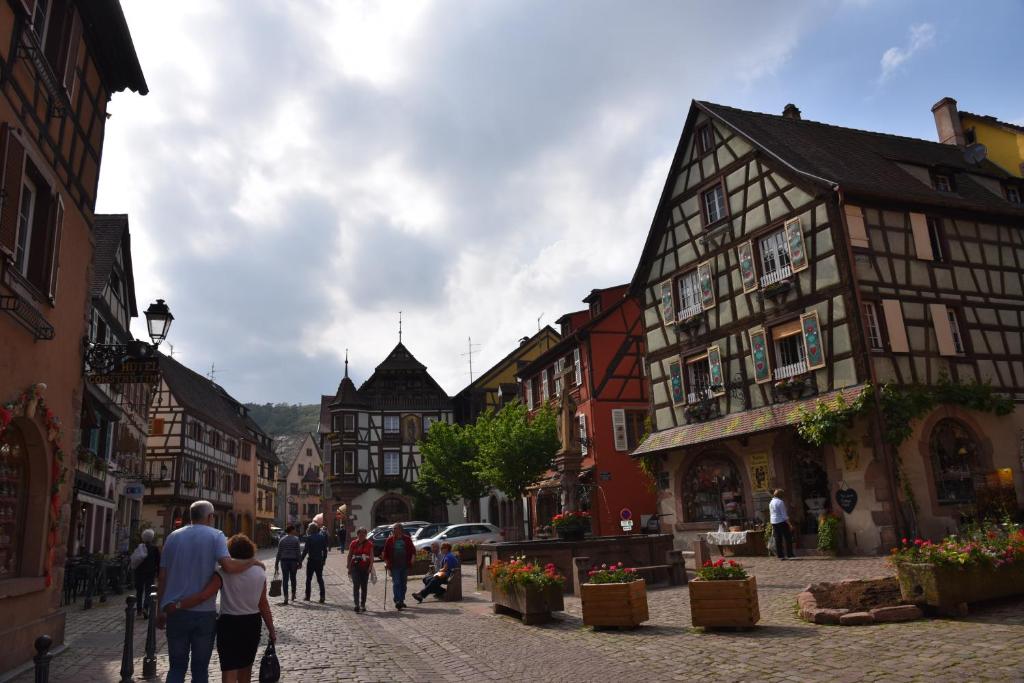 Le brin d'osier – photo 6