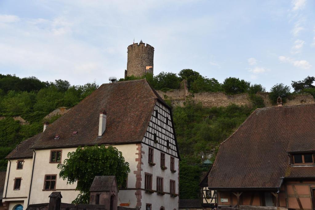 Le brin d'osier – photo 23