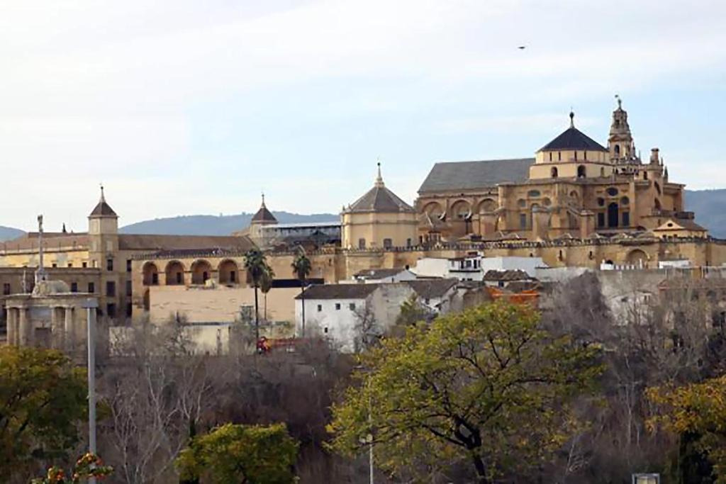 Apartamentos Turísticos Córdoba Califal - 15