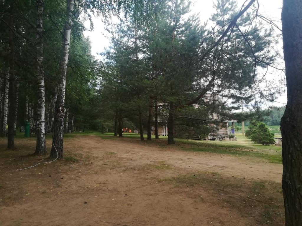 Příroda nedaleko kempu
