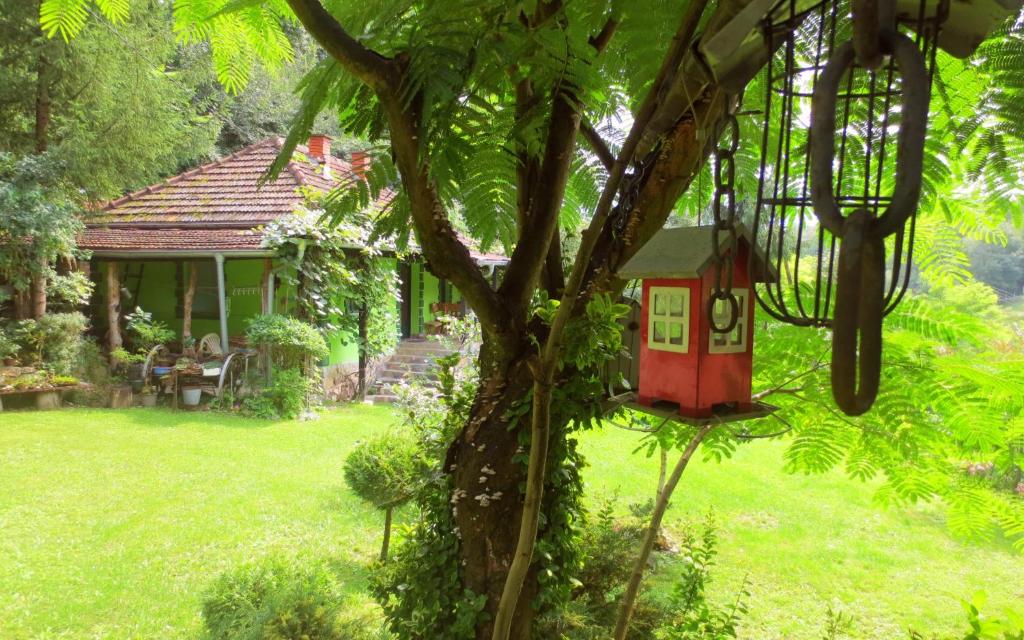 una casetta rossa su un albero di fronte a una casa di Etno-kuća "Leka" Klisura a Despotovac