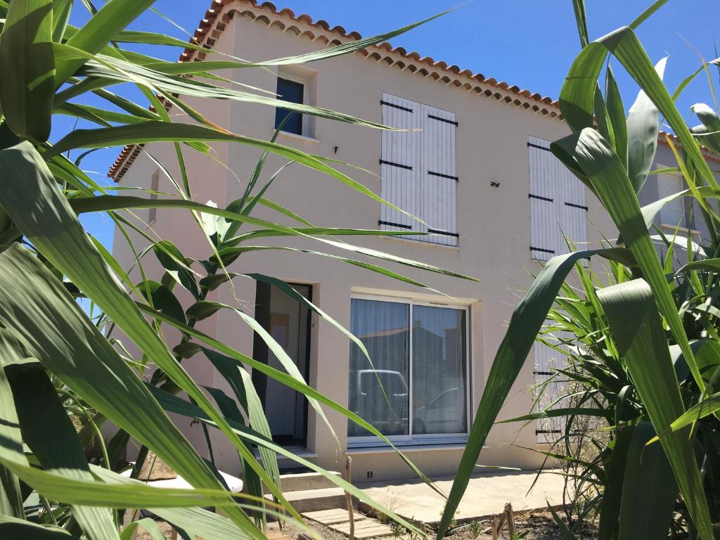 a view of a house from behind some plants at En camargue in Salin-de-Giraud