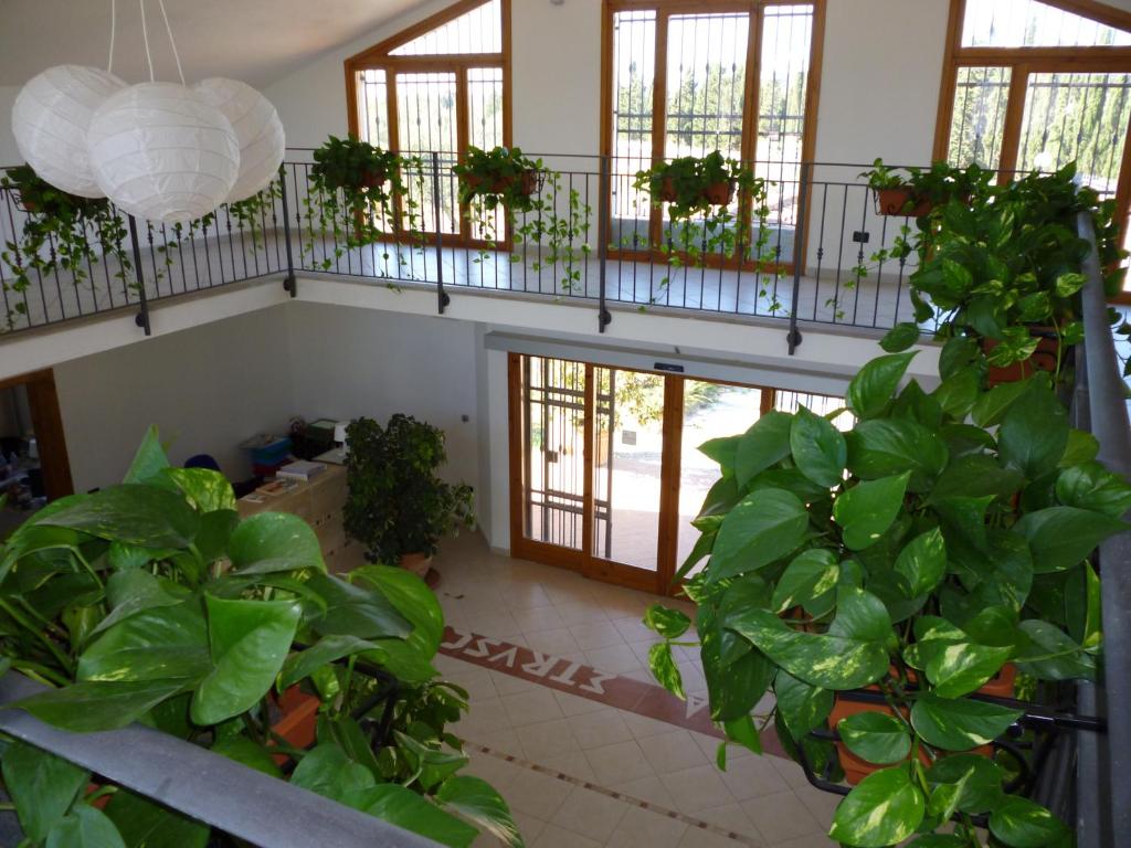 Zahrada ubytování Baia Etrusca Resort