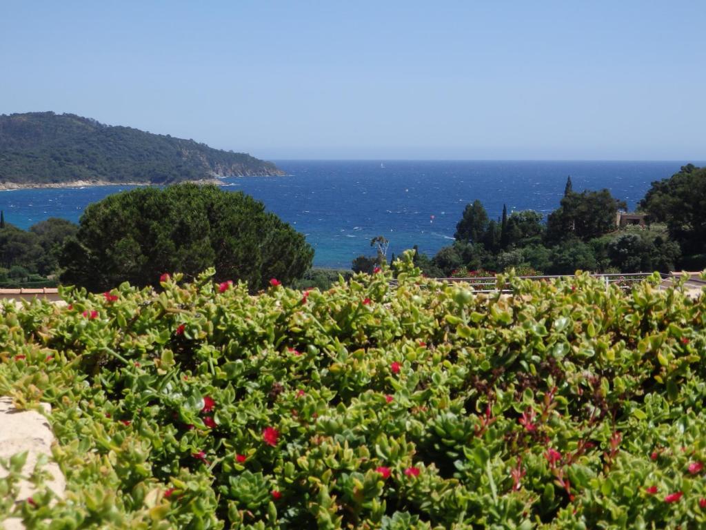 un champ de fleurs avec l'océan en arrière-plan dans l'établissement Pampelonne Appartment, à La Croix-Valmer