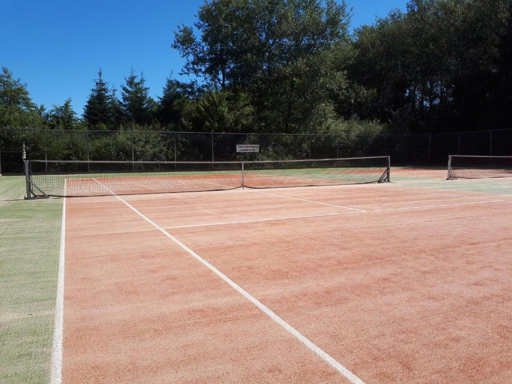 Tenis a/nebo squash v ubytování Wad Else nebo okolí