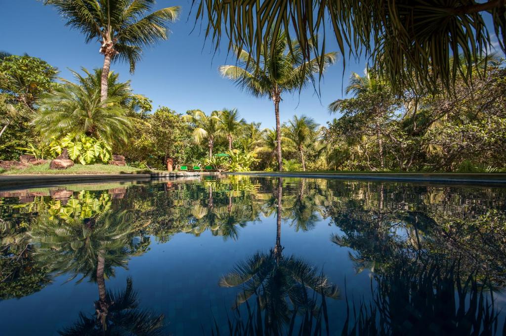 una piscina de agua con palmeras en el fondo en Toca da Coruja, en Pipa