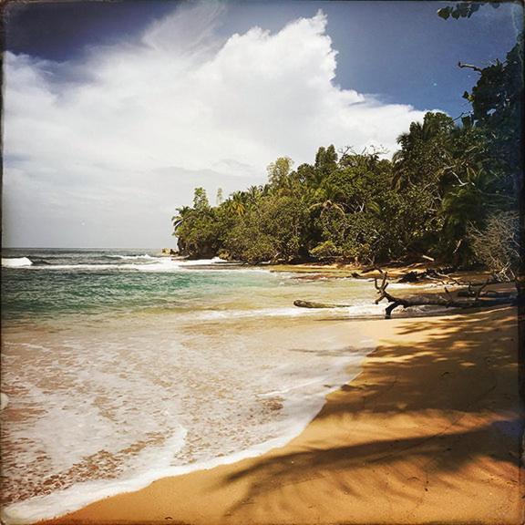 a sandy beach with trees and the ocean at Hotel Bocas del Toro in Bocas del Toro
