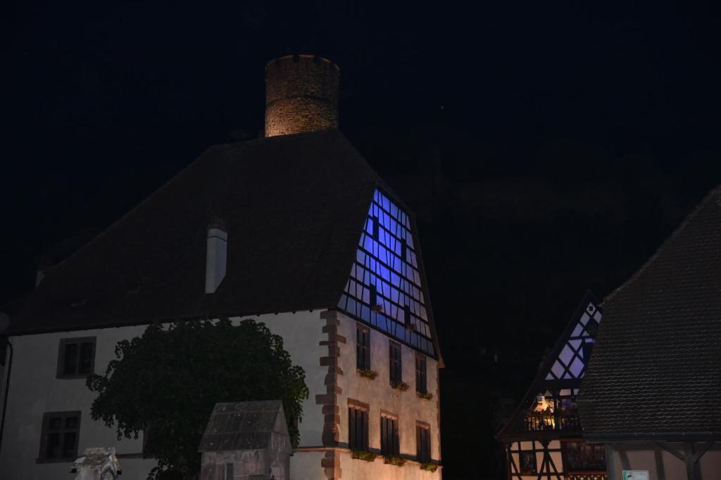Le cerisier – photo 35