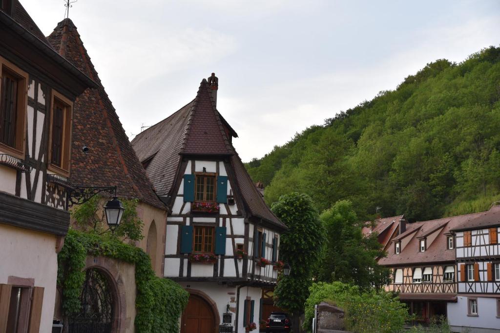 Le cerisier – photo 6