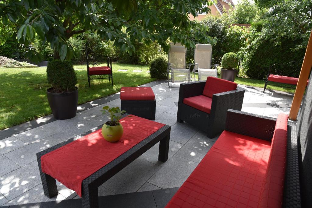 Le cerisier – photo 18