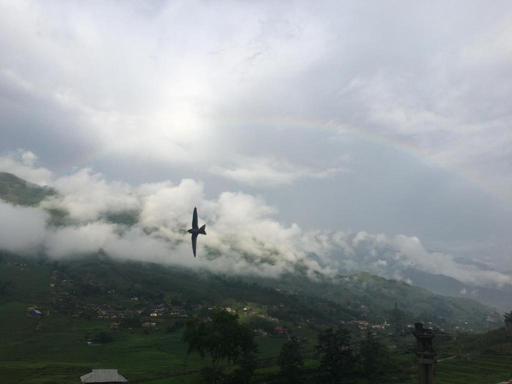 Hoa's homestay Sapa - 1