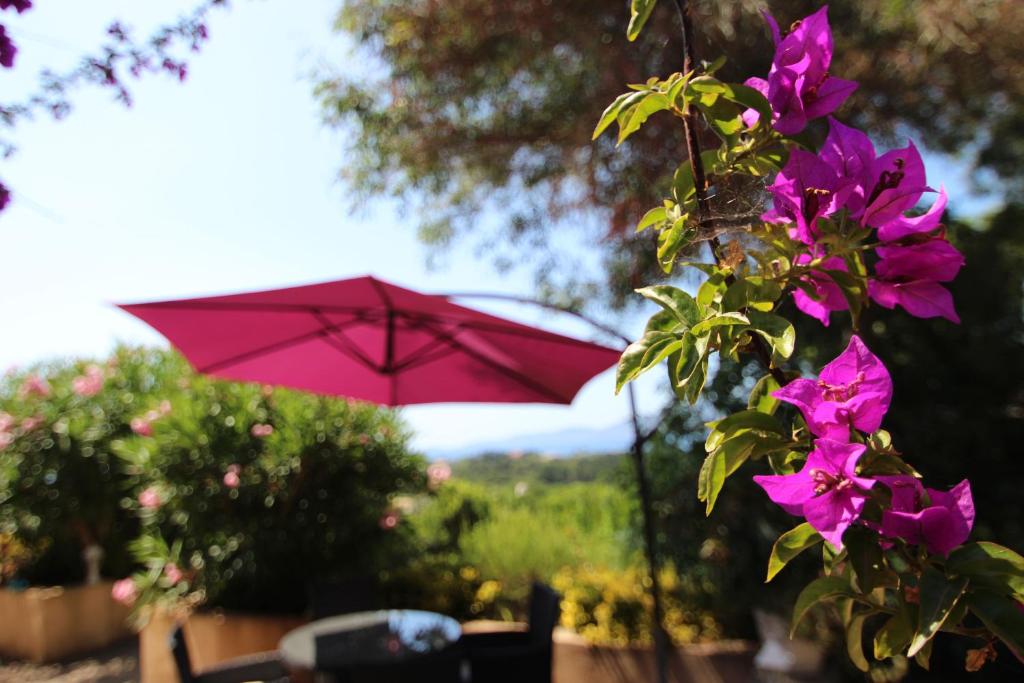 a pink umbrella in a garden with purple flowers at Villa Ghiatone in Pietrosella