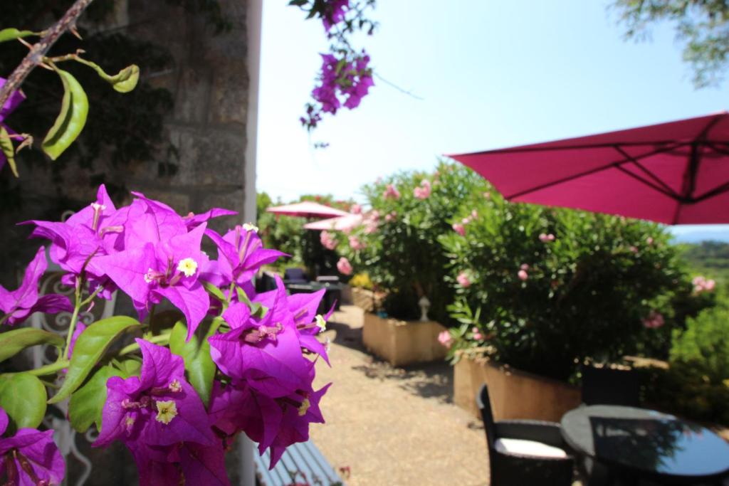a bunch of purple flowers and an umbrella at Villa Ghiatone in Pietrosella