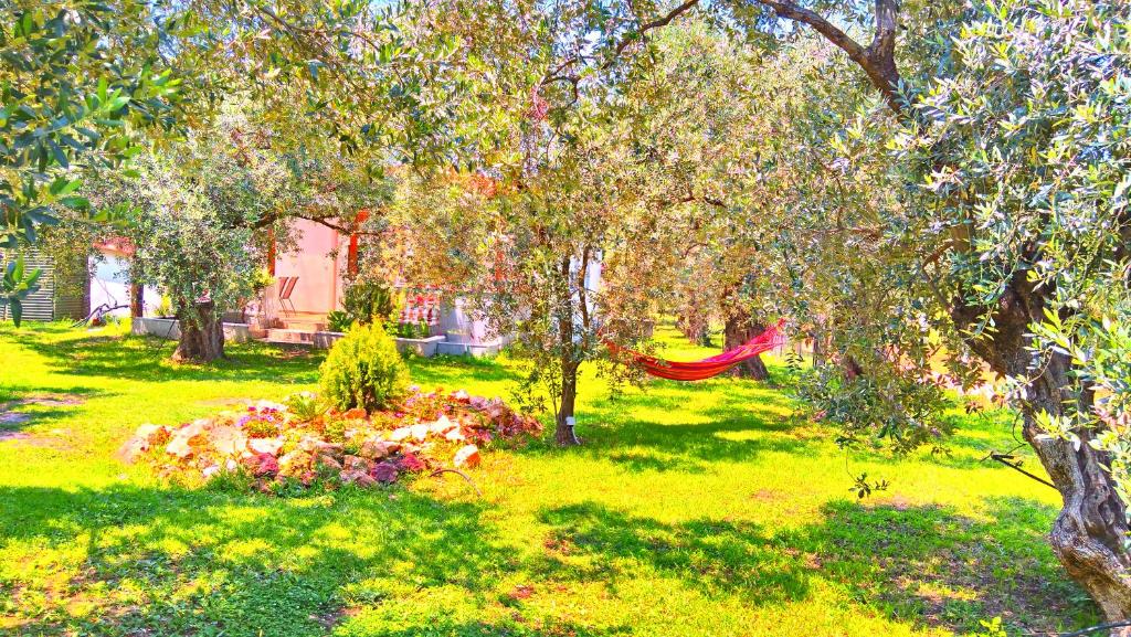 Zahrada ubytování Sunray Separate Villa