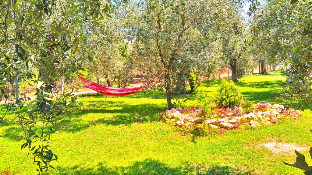 Zahrada ubytování Sunray Separate Villa