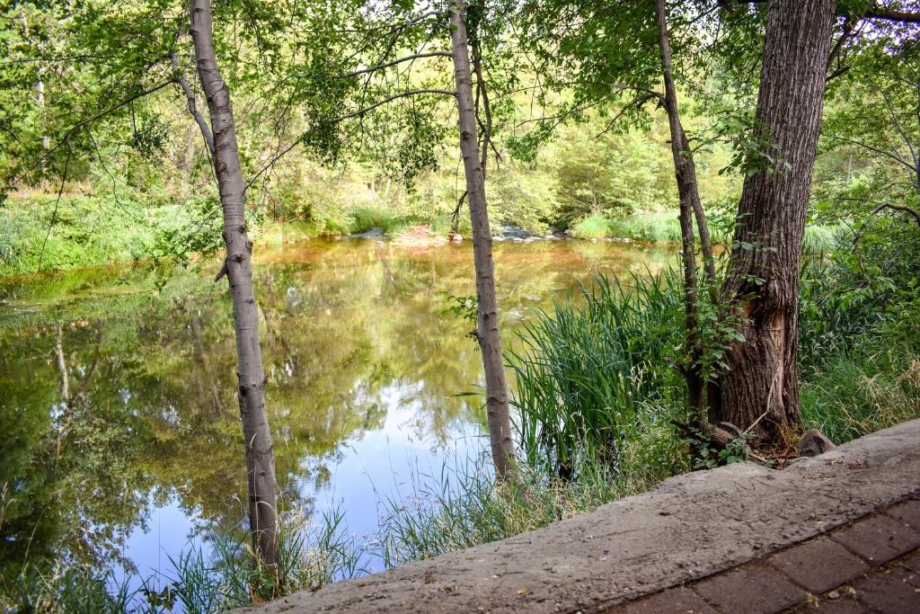 a body of water with trees in the foreground at Cedars Resort in Sedona