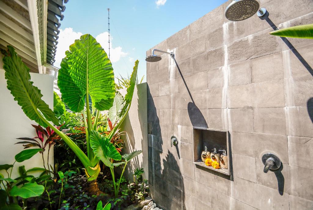 Mahi Mahi Villa & Suites - 19