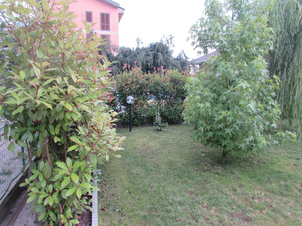 Zahrada ubytování B&B Regina