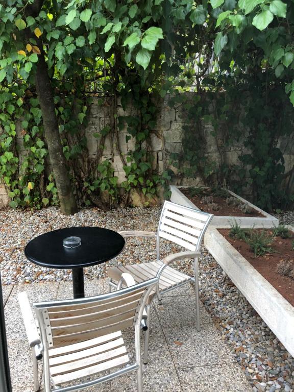 Zahrada ubytování Hotel Jadran