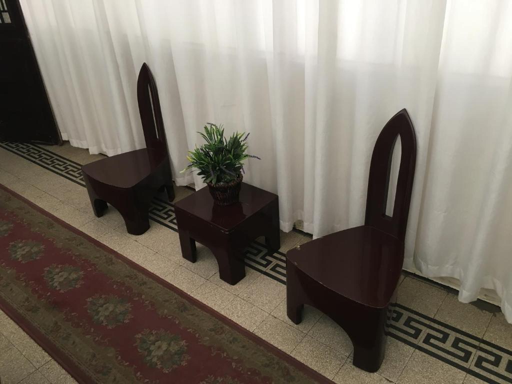 two chairs and a potted plant in a room at Pension Roma in Cairo