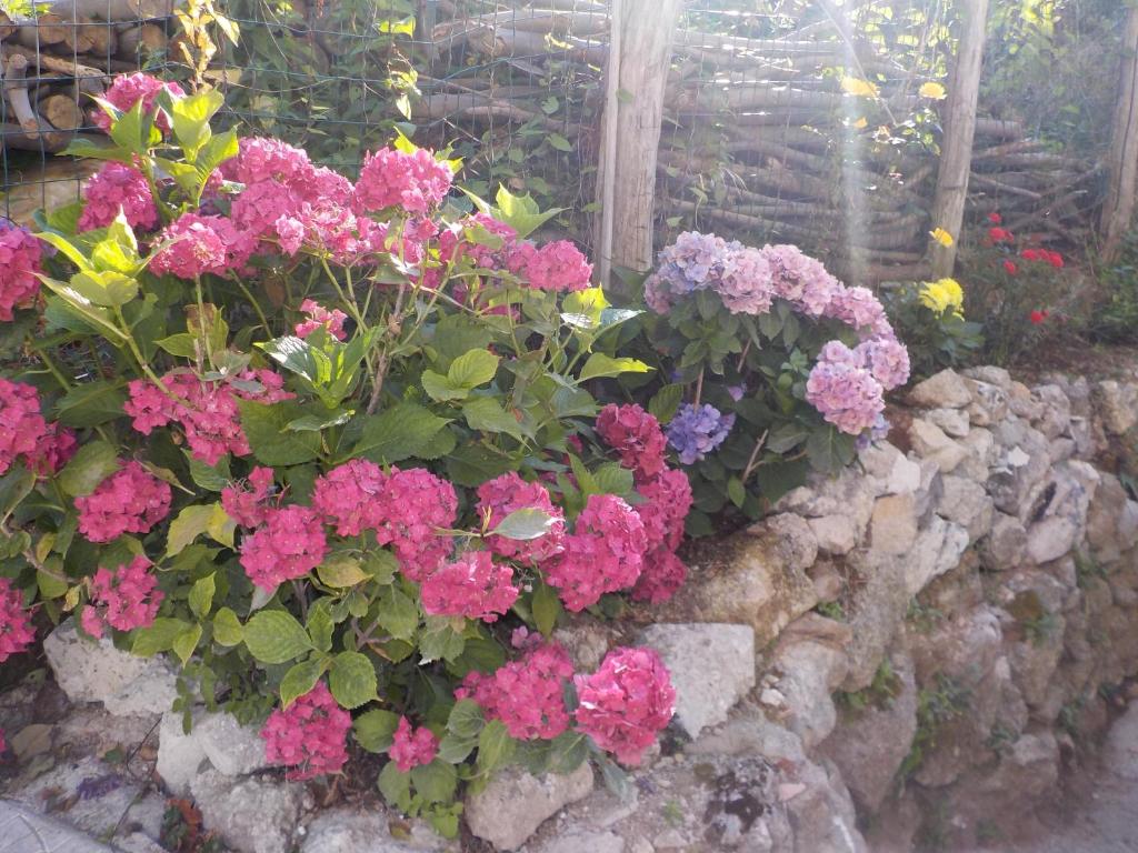Ogród w obiekcie IL PARADISO DEGLI DEI 2