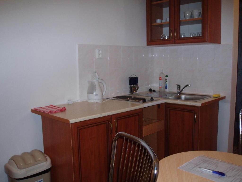 Kuchyňa alebo kuchynka v ubytovaní Apartmany u Smreka