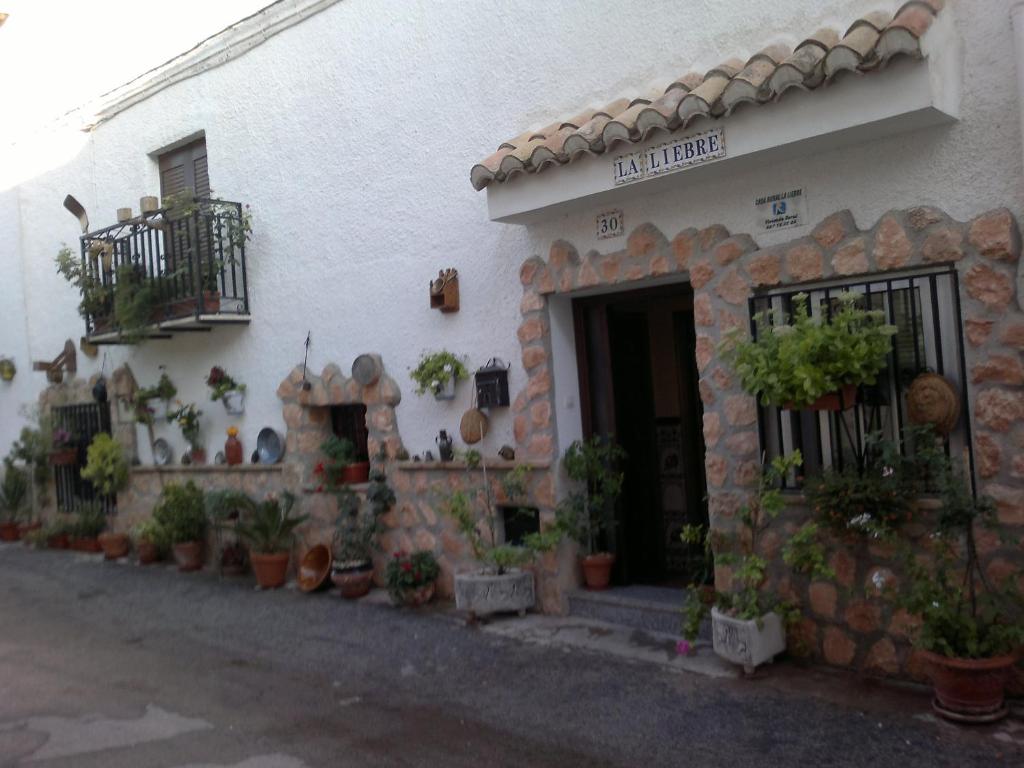a white building with potted plants in front of it at Casa Rural La Liebre in Hinojares