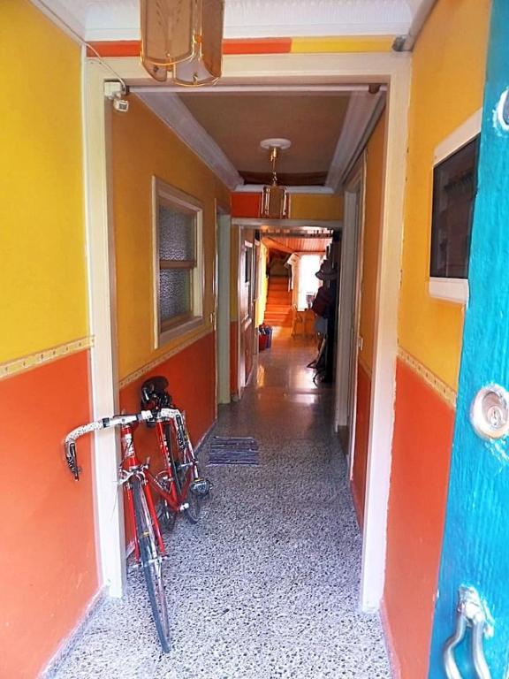 Jízda na kole v ubytování Hostel Tenerife nebo okolí