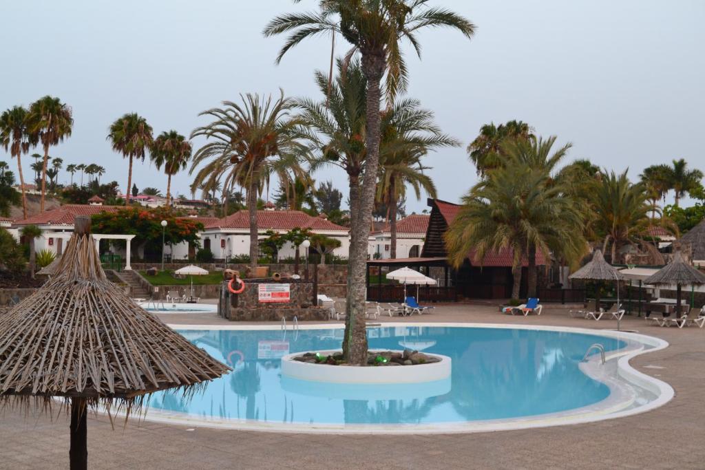 a swimming pool with a palm tree in a resort at Maspalomas Experience Holiday House in Maspalomas