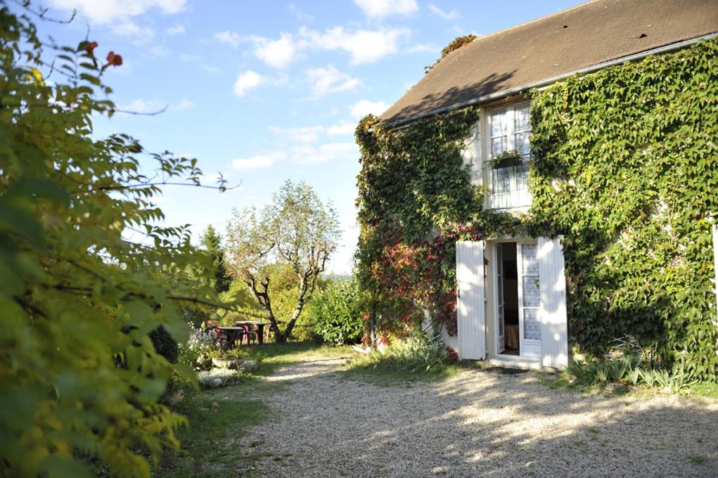 an ivy covered house with a white door and a driveway at Le Compostelle in Vézelay