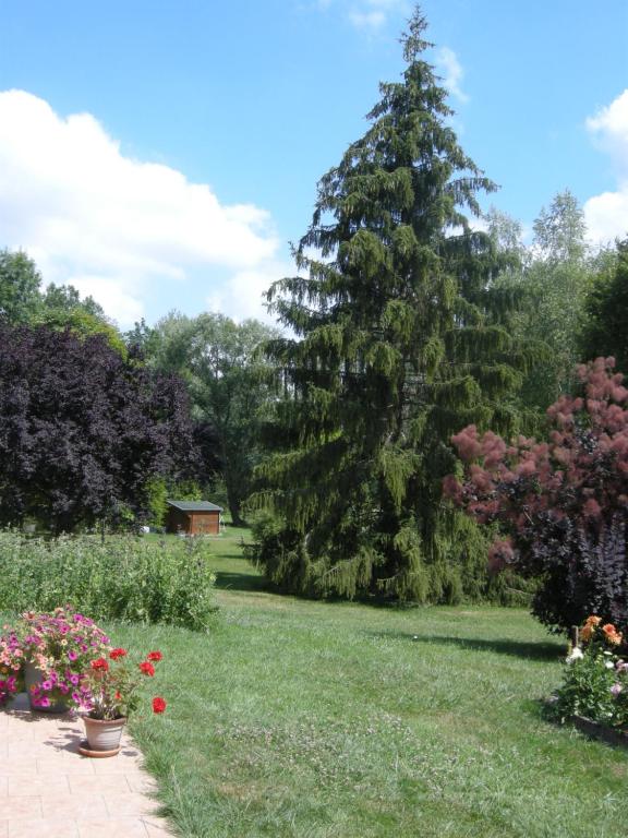 eine große Kiefer in einem Hof mit Blumen in der Unterkunft Le Grand Pré in Daillancourt